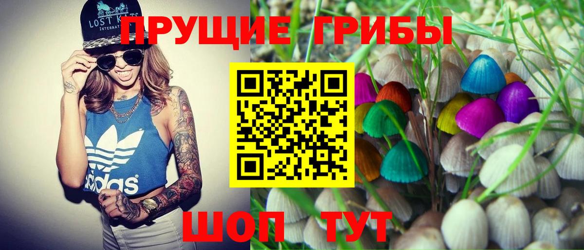 Псилоцибиновые грибы Cubensis Белорецк
