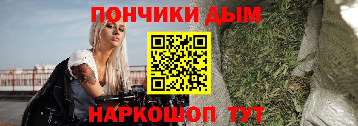 Шишки марихуана марихуана Белорецк
